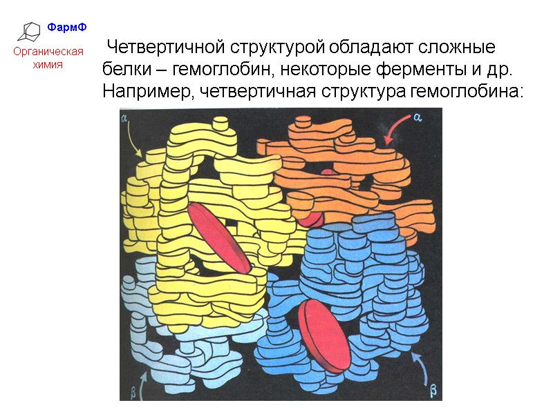 ФармФ  Органическая химия  Четвертичной структурой обладают сложные белки – гемоглобин, некоторые ферменты